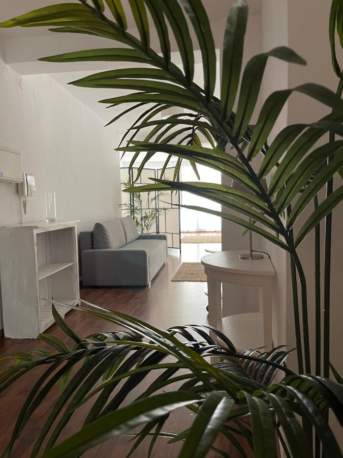 Irua Apartamentos روندا المظهر الخارجي الصورة